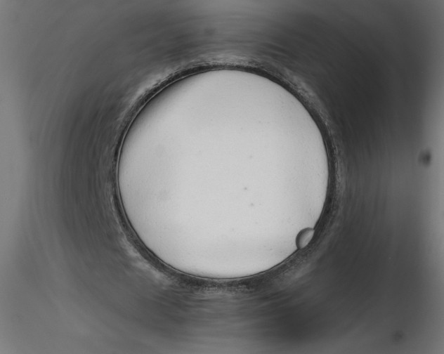 X0000116640625200912291556