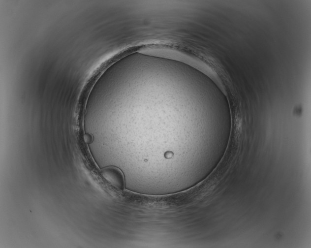 X0000116640628200912291556