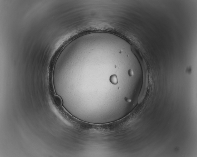 X0000116640630200912291556