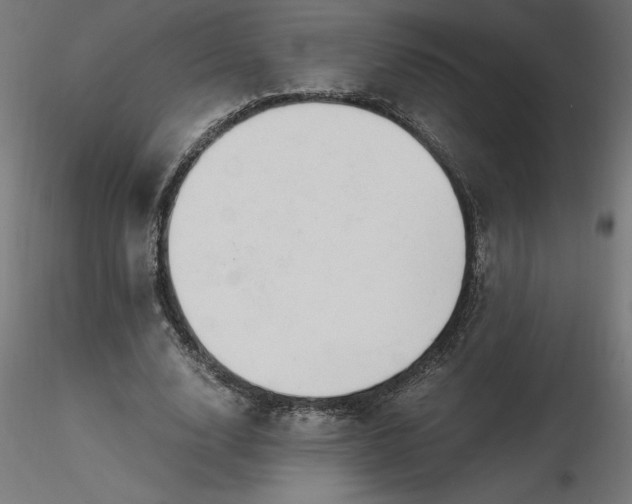 X0000116640632200912291556