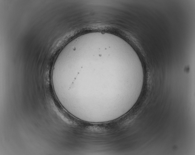 X0000116640633200912291556