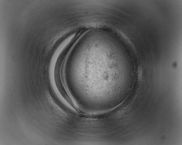 X0000116640637200912291556