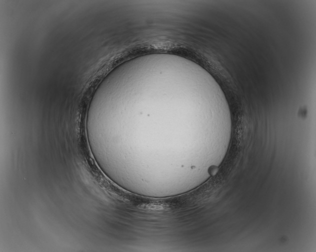 X0000116640639200912291556