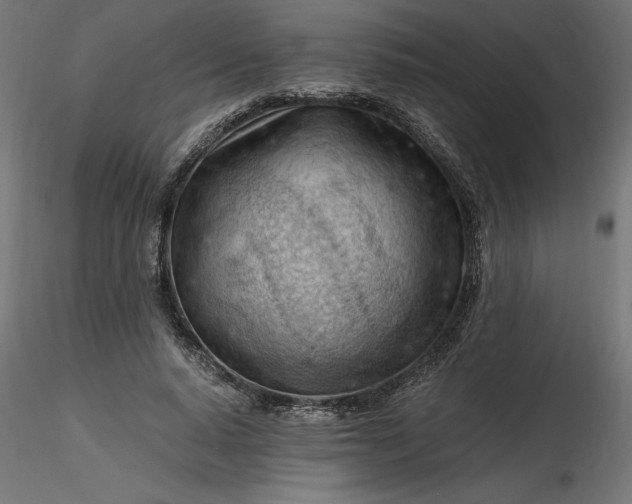 X0000116640640200912291556