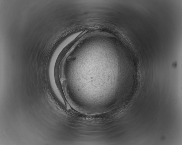 X0000116640641200912291556