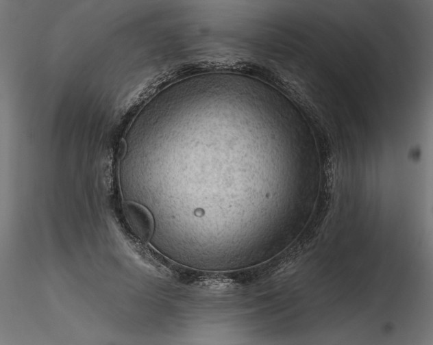 X0000116640642200912291556