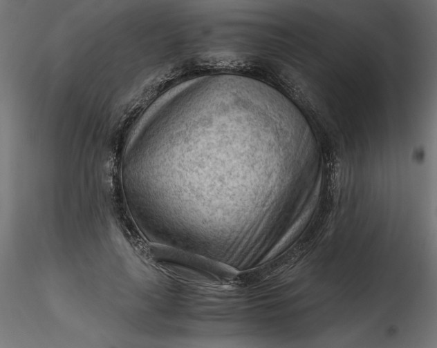 X0000116640643200912291556