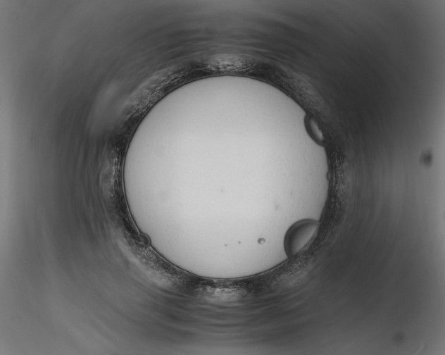 X0000116640645200912291556