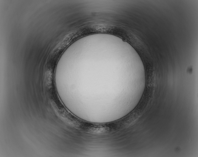 X0000116640646200912291556