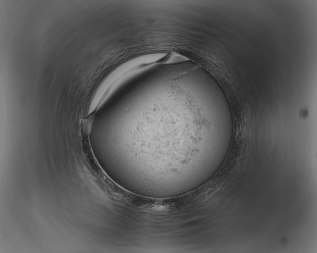 X0000116640647200912291556