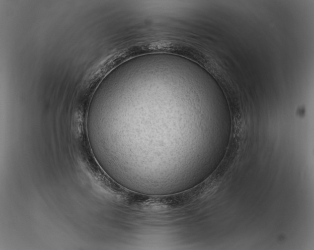 X0000116640648200912291556