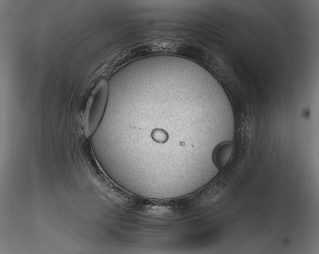 X0000116640649200912291556