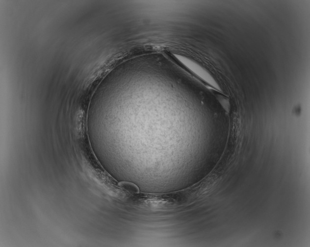 X0000116640650200912291556