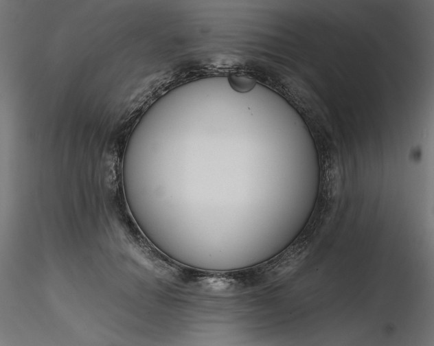 X0000116640654200912291556