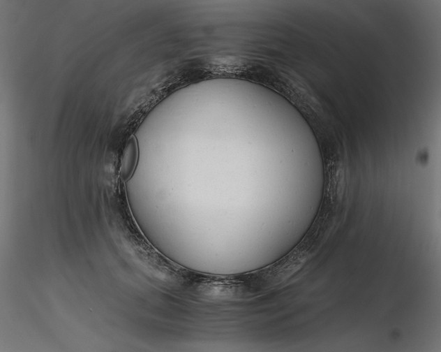 X0000116640655200912291556