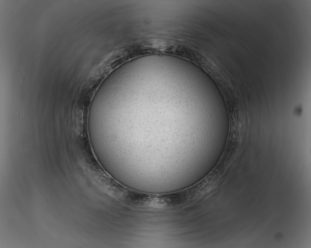 X0000116640656200912291556