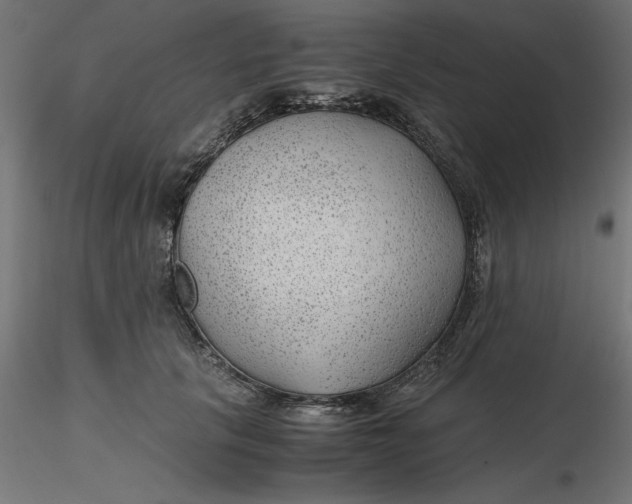 X0000116640657200912291556