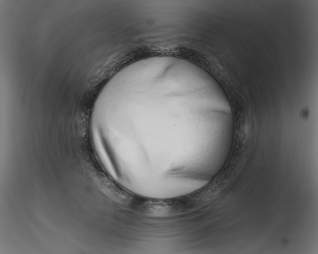 X0000116640658200912291556