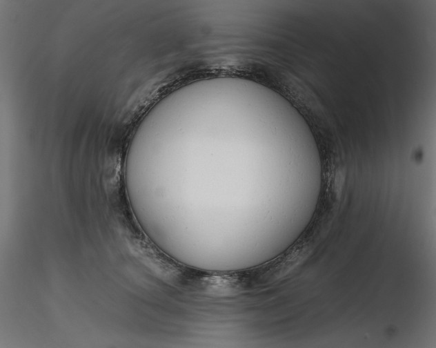 X0000116640660200912291556