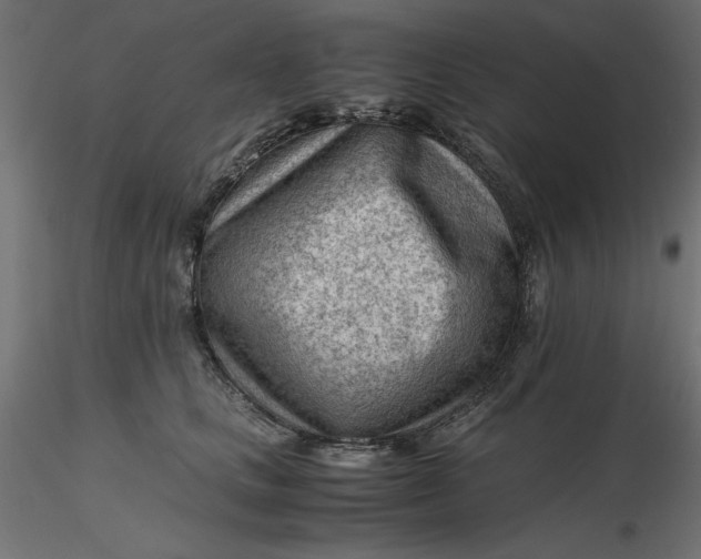 X0000116640661200912291556