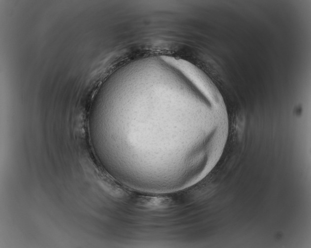 X0000116640663200912291556