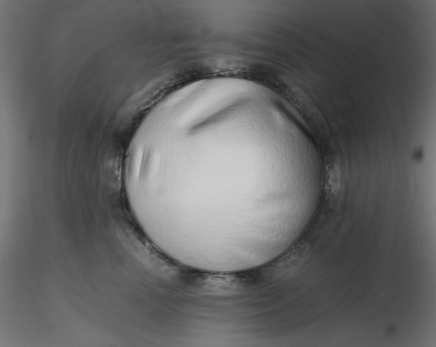 X0000116640666200912291556