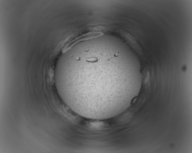 X0000116640669200912291556