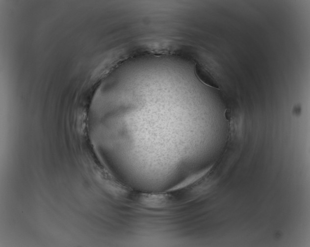 X0000116640671200912291556