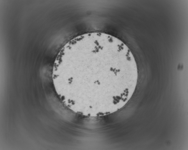 X0000116640672200912291556