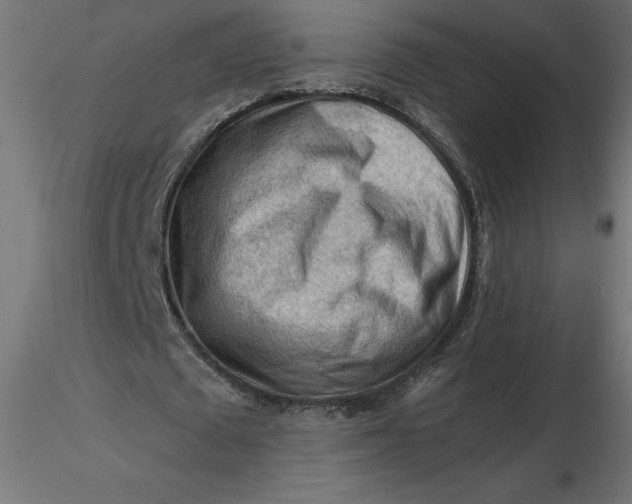 X0000116640673200912291556