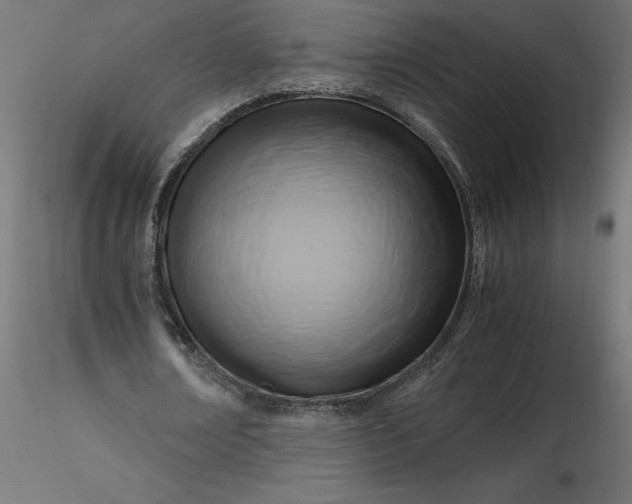 X0000116640674200912291556