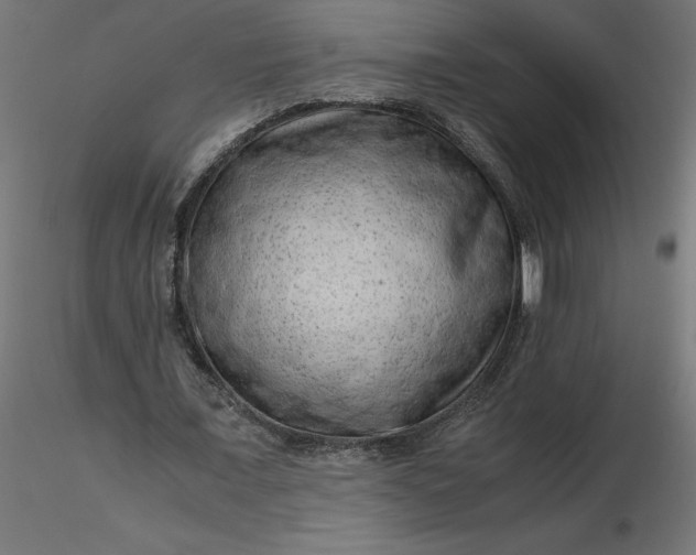 X0000116640675200912291556