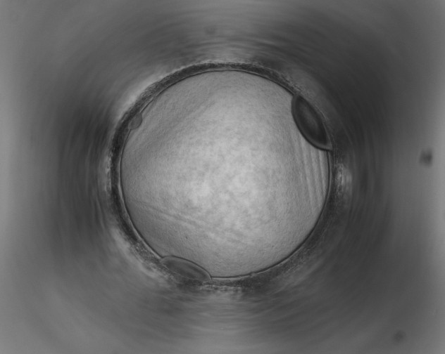 X0000116640676200912291556