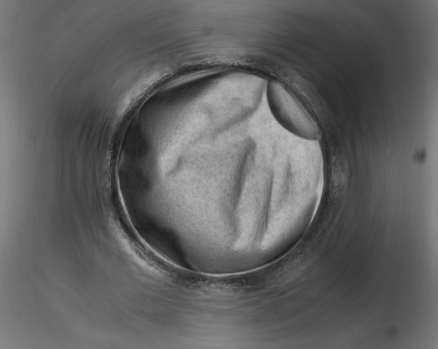 X0000116640677200912291556