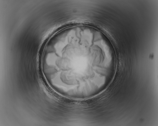 X0000116640678200912291556