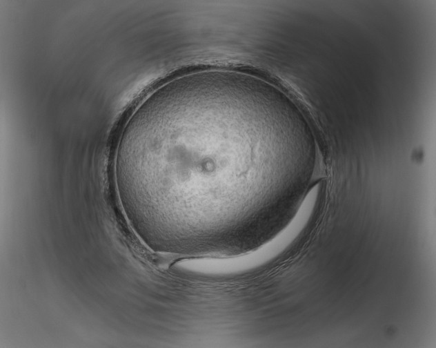 X0000116640679200912291556