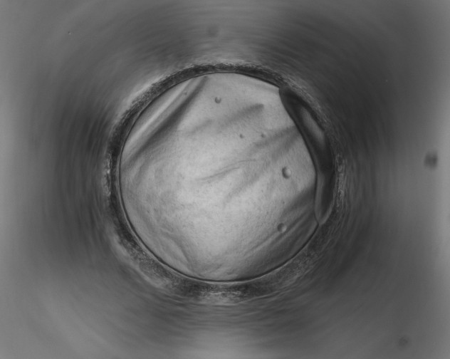 X0000116640680200912291556