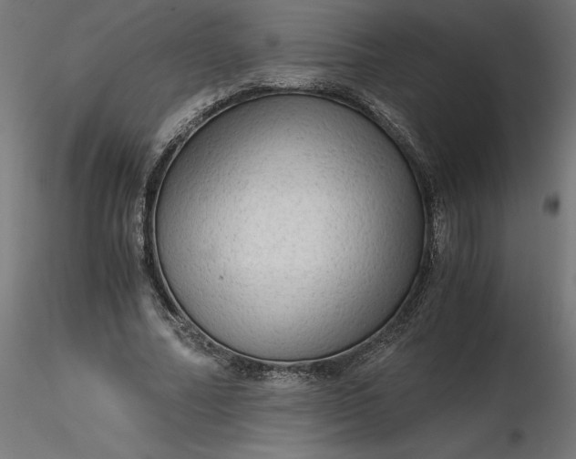 X0000116640682200912291556