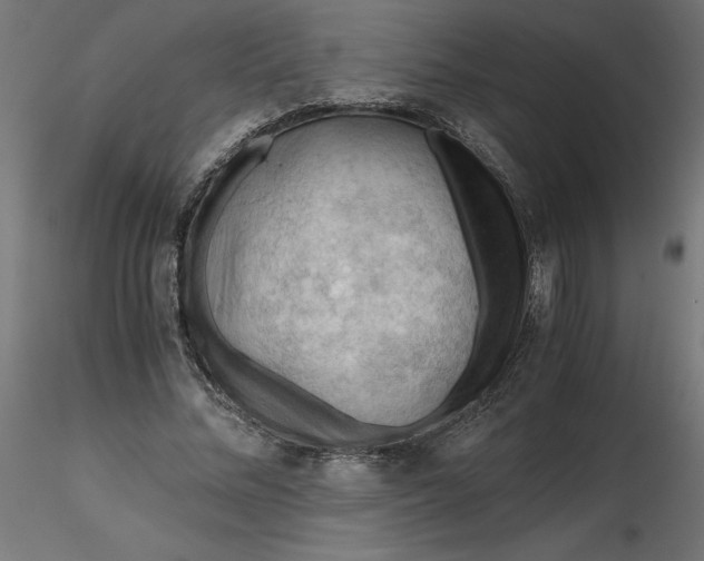 X0000116640684200912291556