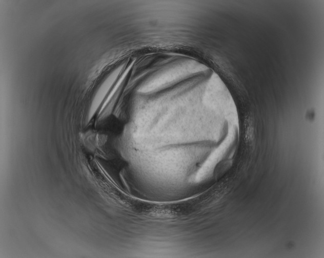 X0000116640685200912291556