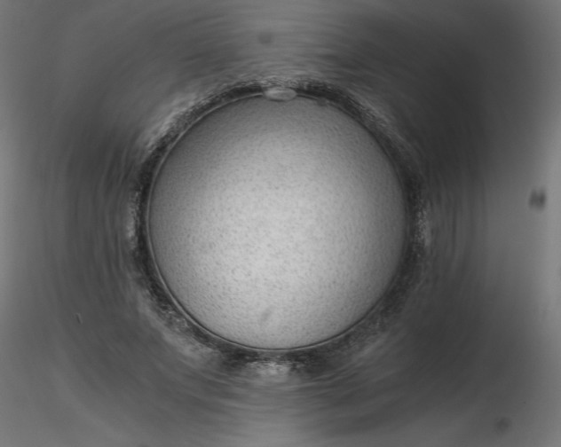 X0000116640687200912291556