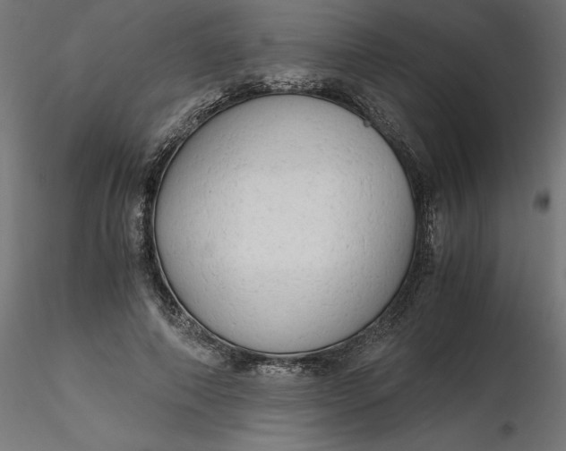 X0000116640690200912291555