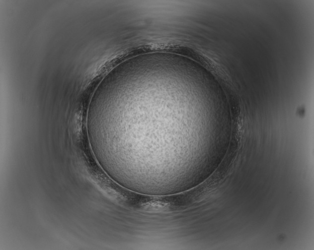 X0000116640691200912291555