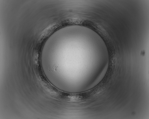 X0000116640693200912291555