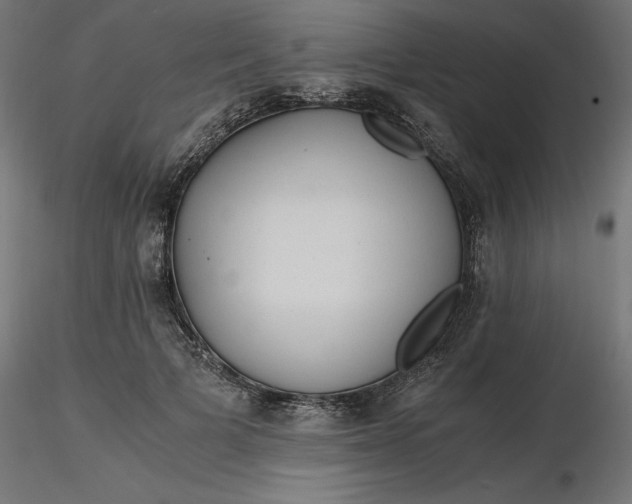 X0000116640697200912291555