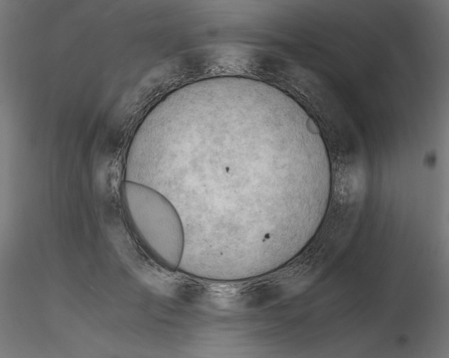 X0000116640701200912291555