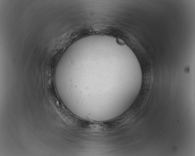 X0000116640703200912291555