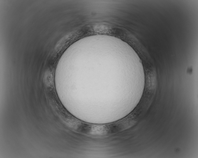 X0000116640705200912291555