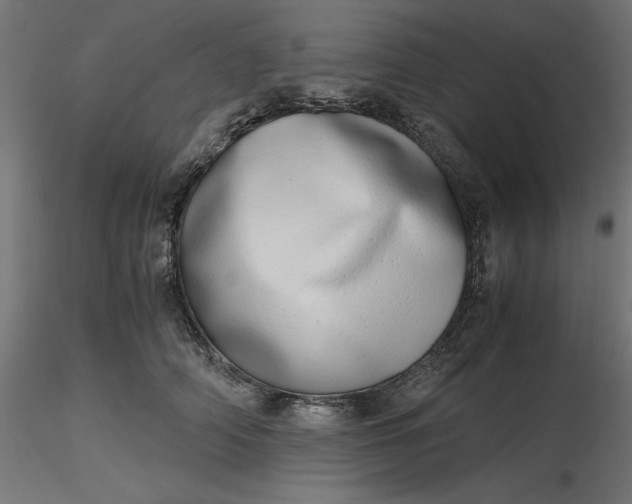 X0000116640706200912291555