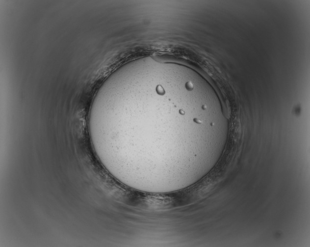 X0000116640707200912291555